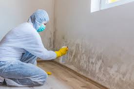 Best Basement Mold Removal in Bruceton, TN