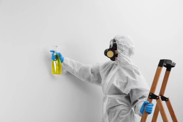 Best Environmental Consulting for Mold Prevention in Bruceton, TN